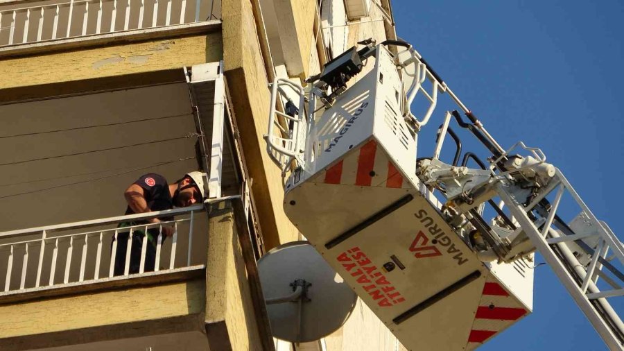 12’nci Kattan 11’inci Kata Düşen Kedinin Kurtarılmasını Film İzler Gibi İzlediler