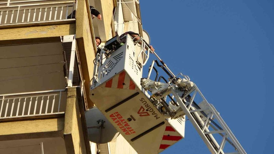 12’nci Kattan 11’inci Kata Düşen Kedinin Kurtarılmasını Film İzler Gibi İzlediler