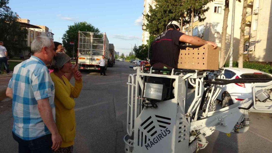 12’nci Kattan 11’inci Kata Düşen Kedinin Kurtarılmasını Film İzler Gibi İzlediler