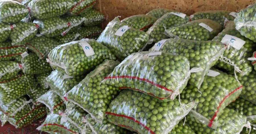 Mersin’de Erik Altın Yılını Yaşıyor