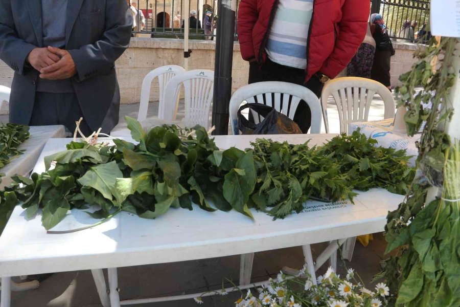 Mut’ta Ot Festivali