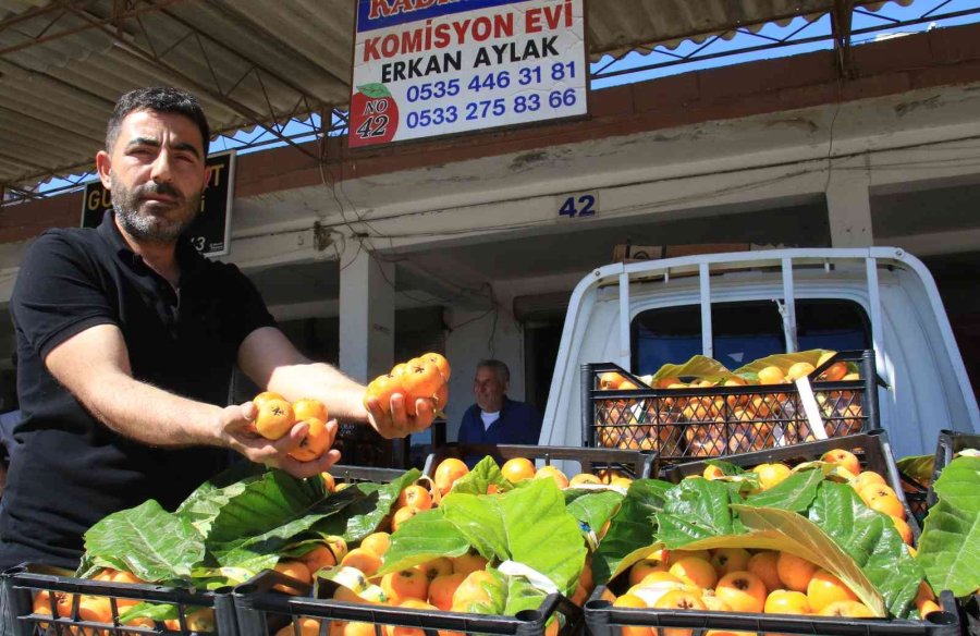 Mersin’in Sarı Altını Yenidünya Üreticisini Fiyatıyla Sevindirdi