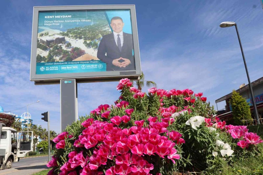 630 Bin Çiçekle Alanya Rengarenk Olacak