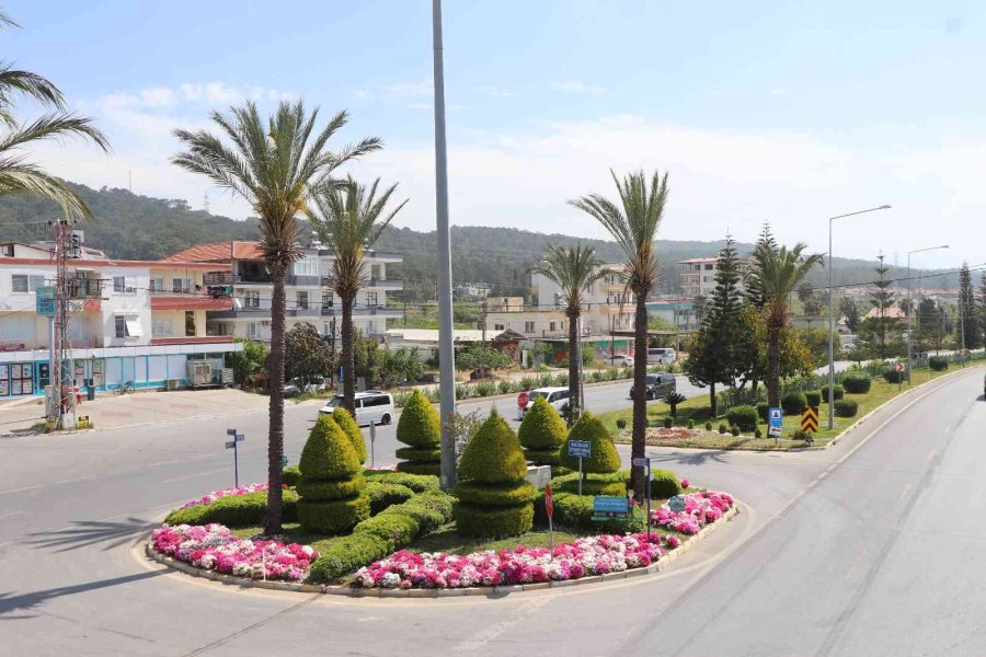 630 Bin Çiçekle Alanya Rengarenk Olacak