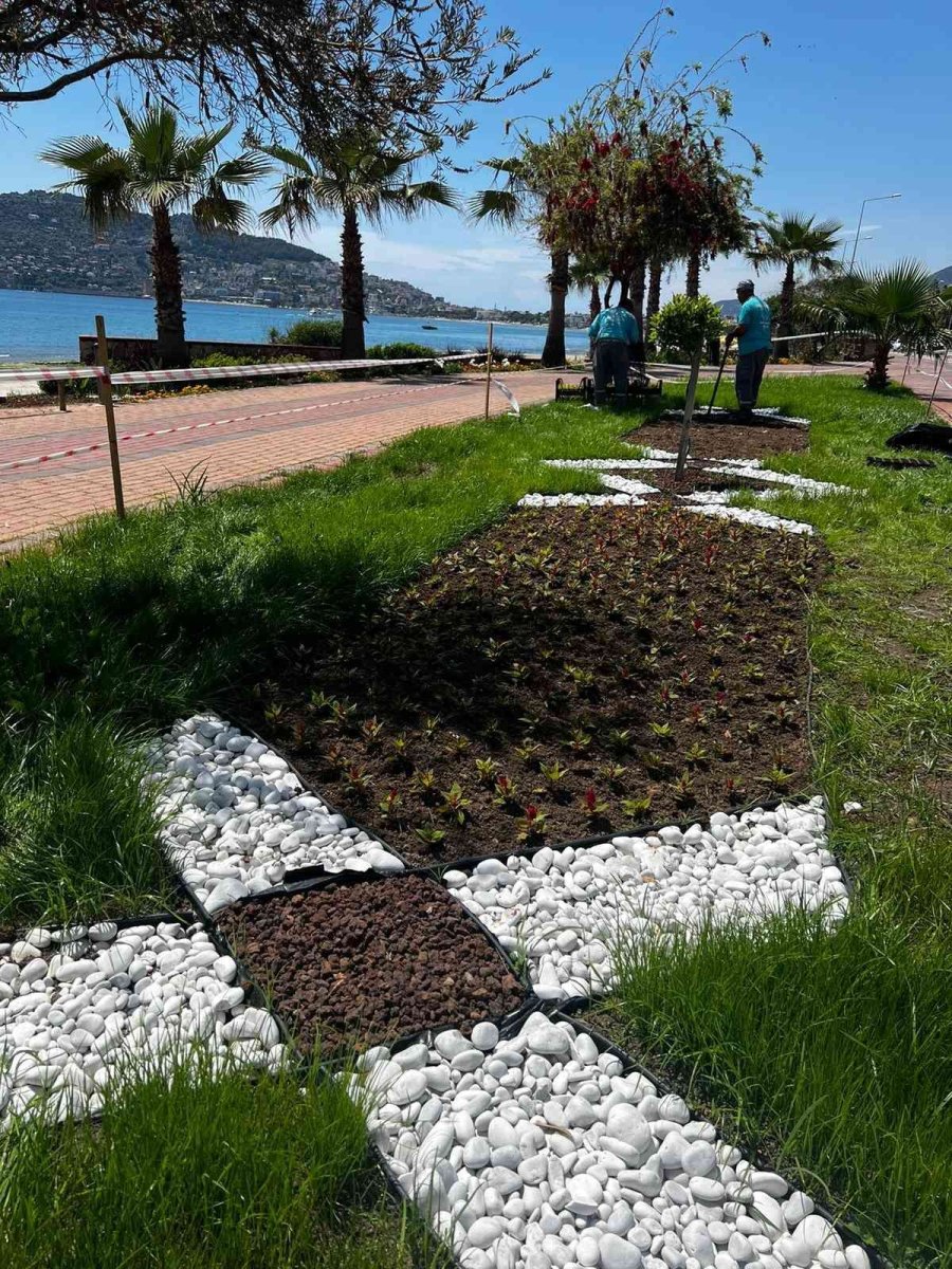 630 Bin Çiçekle Alanya Rengarenk Olacak