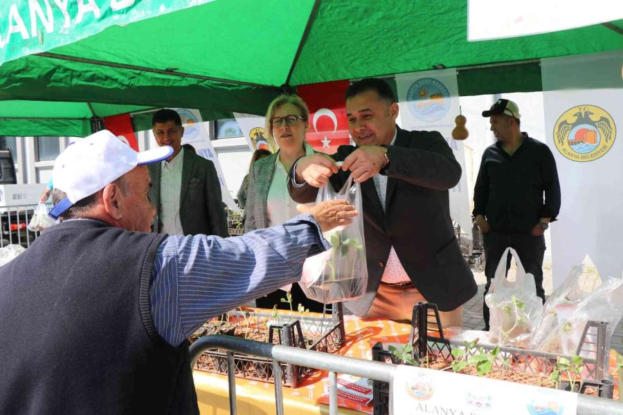 Alanya’da Su Kabağı Fidesi Dağıtımı Devam Ediyor