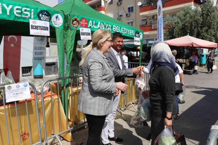 Alanya’da Su Kabağı Fidesi Dağıtımı Devam Ediyor