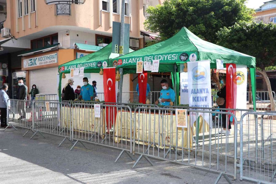 Alanya’da Su Kabağı Fidesi Dağıtımı Devam Ediyor