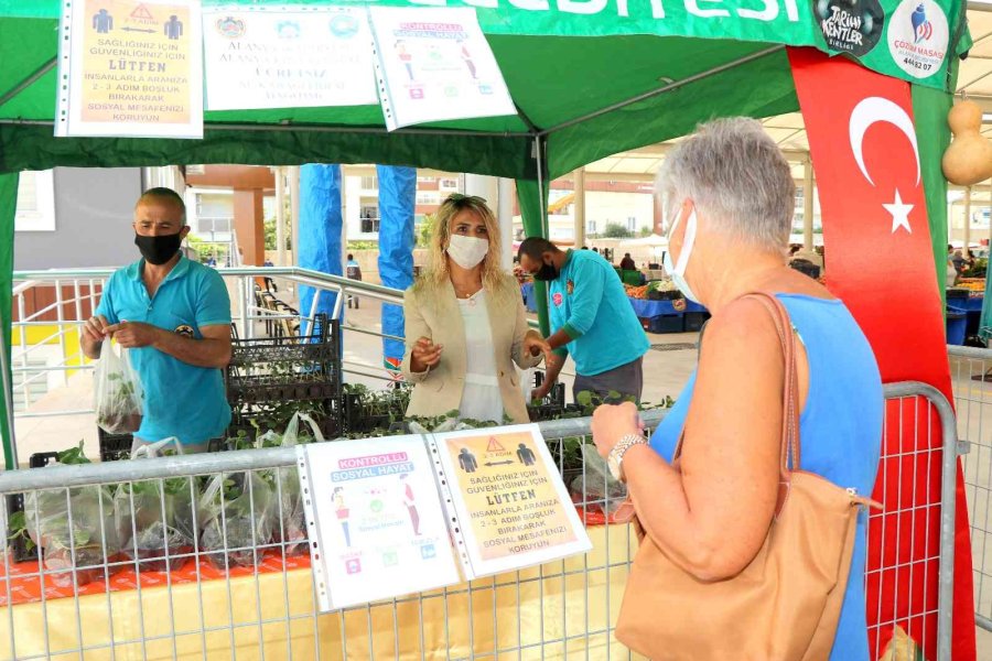 Alanya’da Su Kabağı Fidesi Dağıtımı Devam Ediyor
