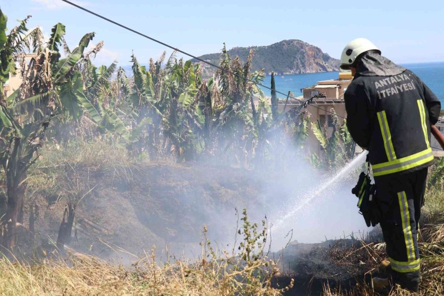 Boş Arazide Çıkan Yangın Muz Bahçesine Sıçramadan Söndürüldü