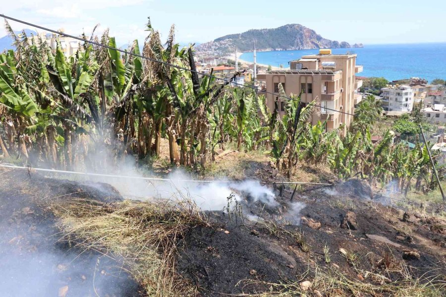 Boş Arazide Çıkan Yangın Muz Bahçesine Sıçramadan Söndürüldü