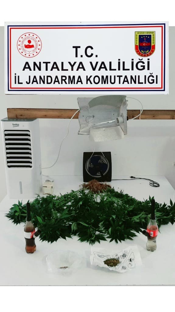 Gardırobunu Kenevir Bahçesine Dönüştürmüş