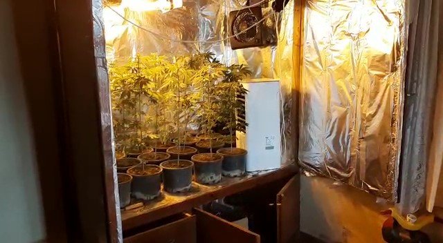 Gardırobunu Kenevir Bahçesine Dönüştürmüş