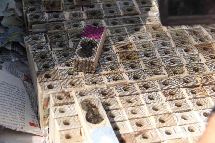 Mut’ta Bal Üreticilerine Kafkas Irkı Anaç Arı Dağıtıldı