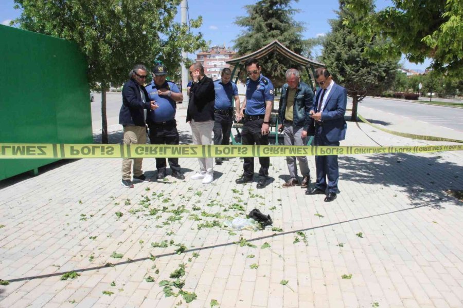 Karaman’da Fünye İle Patlatılan Bez Çantadan Ispanak Çıktı