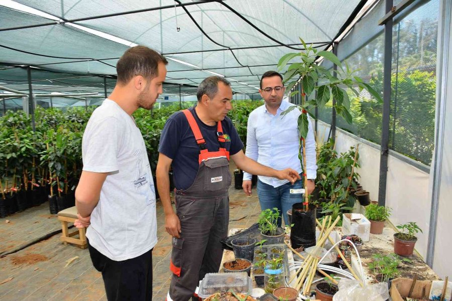 Matso Başkanı Güngör: “ihracat Yapan Firmalarımızı Destekliyoruz”