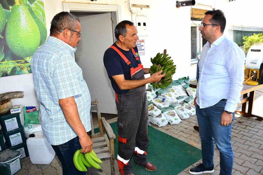 Matso Başkanı Güngör: “ihracat Yapan Firmalarımızı Destekliyoruz”
