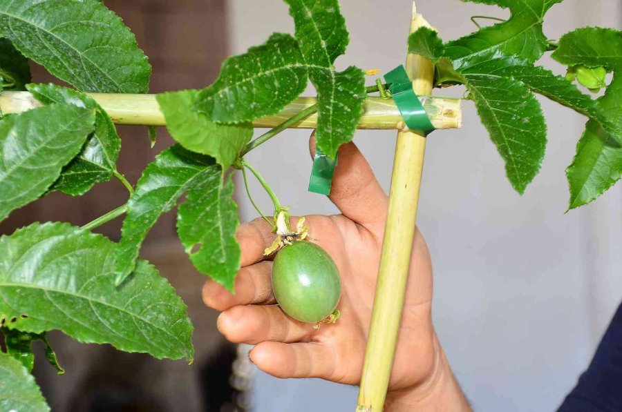 Matso Başkanı Güngör: “ihracat Yapan Firmalarımızı Destekliyoruz”