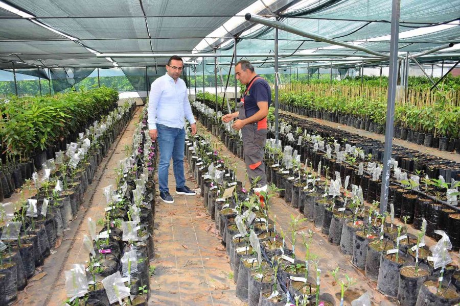 Matso Başkanı Güngör: “ihracat Yapan Firmalarımızı Destekliyoruz”