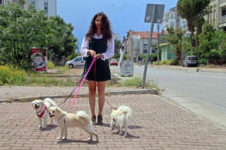 Marketteki Köpeğe Sebepsiz Yere Tekme Attı, Kamera Kaydını İzleyen Genç Kadının Ağzı Açık Kaldı