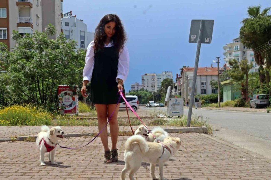 Marketteki Köpeğe Sebepsiz Yere Tekme Attı, Kamera Kaydını İzleyen Genç Kadının Ağzı Açık Kaldı