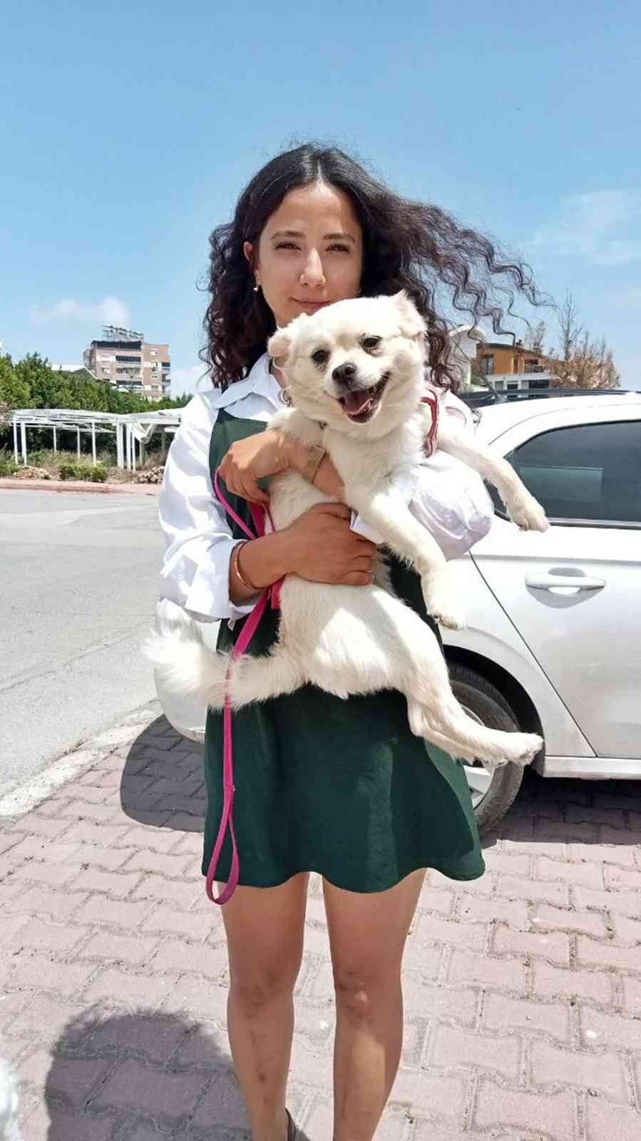Marketteki Köpeğe Sebepsiz Yere Tekme Attı, Kamera Kaydını İzleyen Genç Kadının Ağzı Açık Kaldı