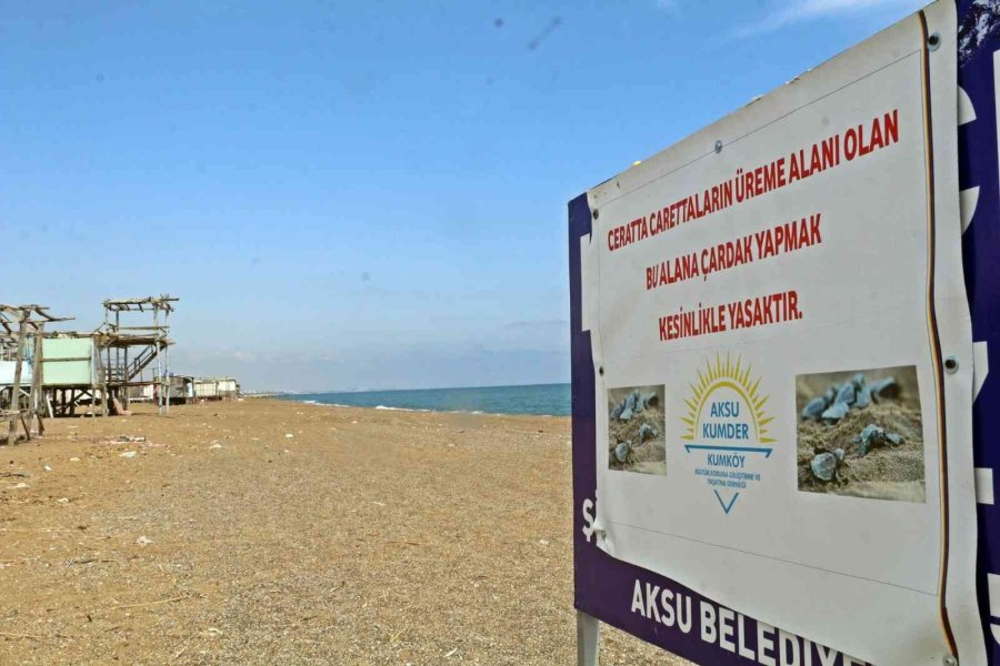 5 Yıldızlı Otellere Komşu Denize Sıfır Çardaklarda Yıkım Sessizliği