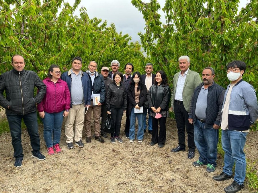 Baib’den Güney Kore’ye Kiraz İhracatı Çalışmaları