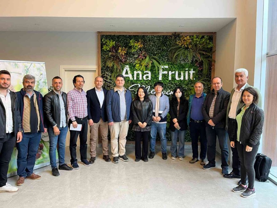 Baib’den Güney Kore’ye Kiraz İhracatı Çalışmaları