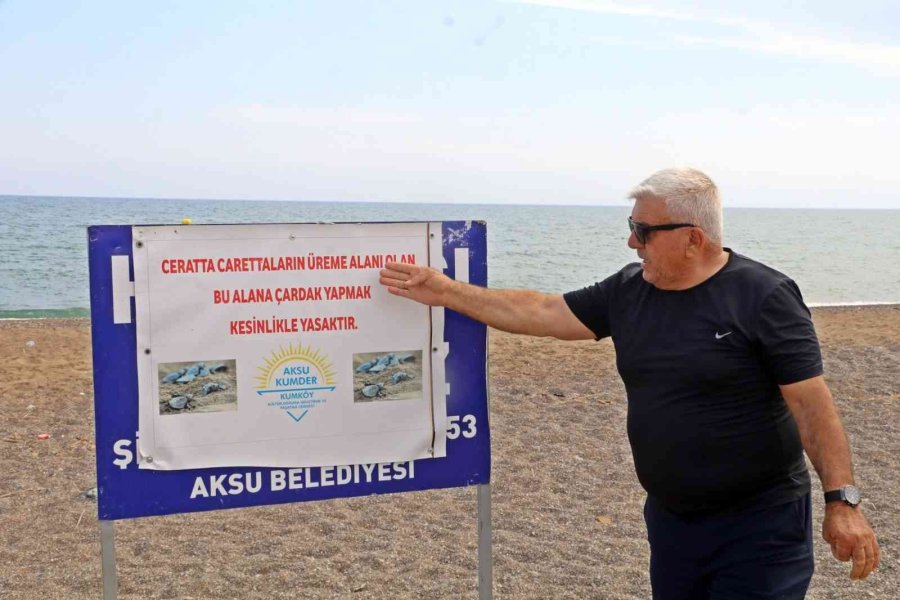 5 Yıldızlı Otellere Komşu Denize Sıfır Çardaklarda Yıkım Sessizliği