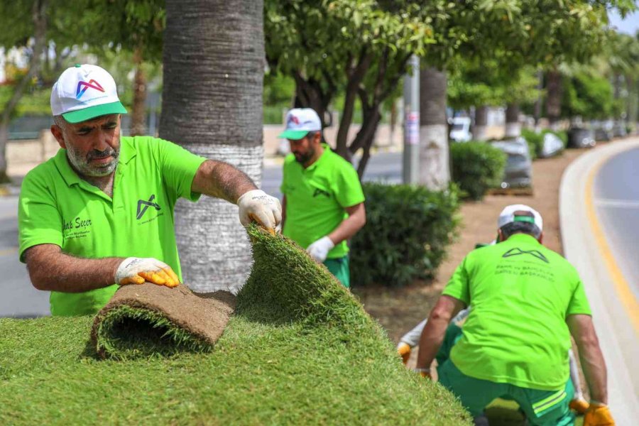 Adnan Menderes Bulvarındaki Refüje Rulo Çim Seriliyor