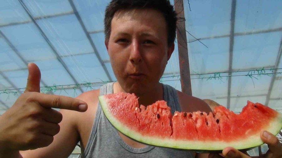 Yaz Aylarının Sevilen Meyvesi Karpuzda Geç Hasat Dönemi Başladı