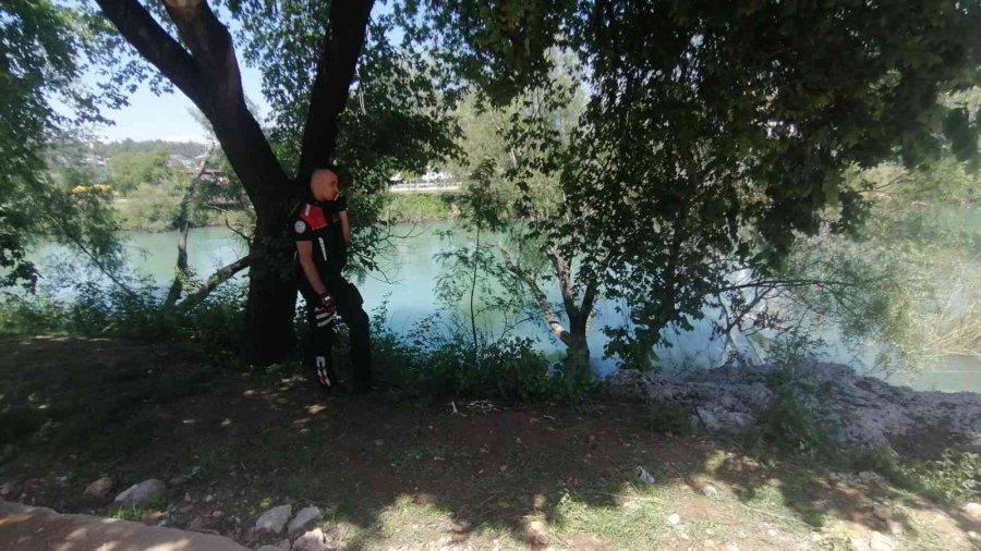 Dengesini Kaybedip 2 Metre Yükseklikten Düşen Adamı Böğürtlen Dalları Kurtardı