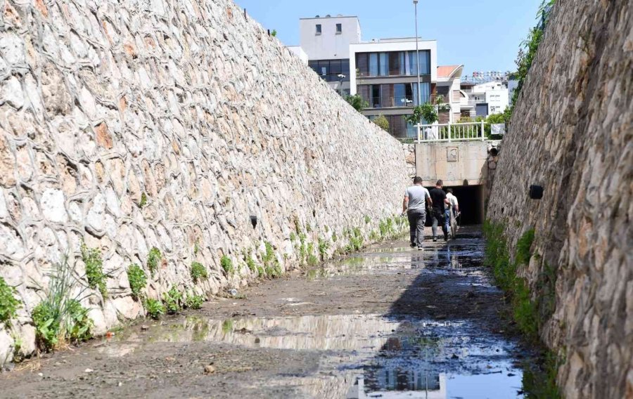 Dere Yatağında Mahsur Kalan Köpekleri Konyaaltı Belediyesi Kurtardı