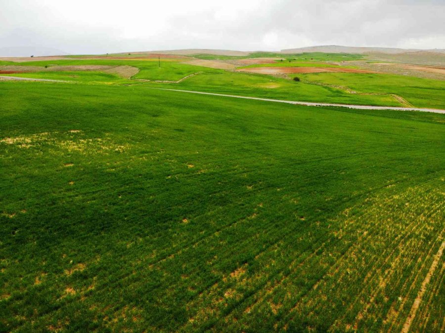 Konya Ovasında Çiftçilerin Gözü Son Yağışlarda