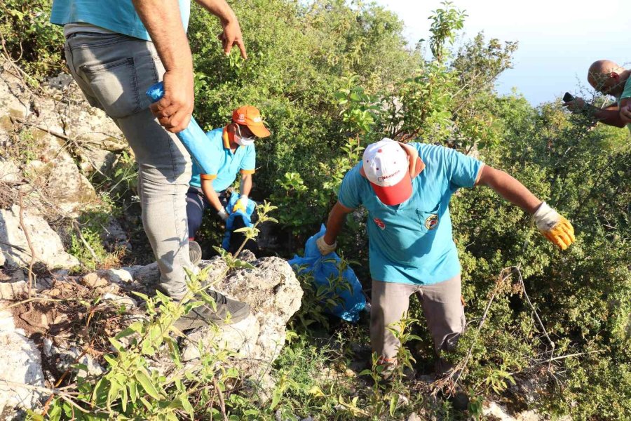 Antalya’da İki Sokak Köpeği Ölü Bulundu