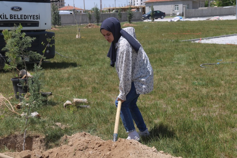 Eskil Adalet Sarayı Bahçesine Ağaç Dikildi