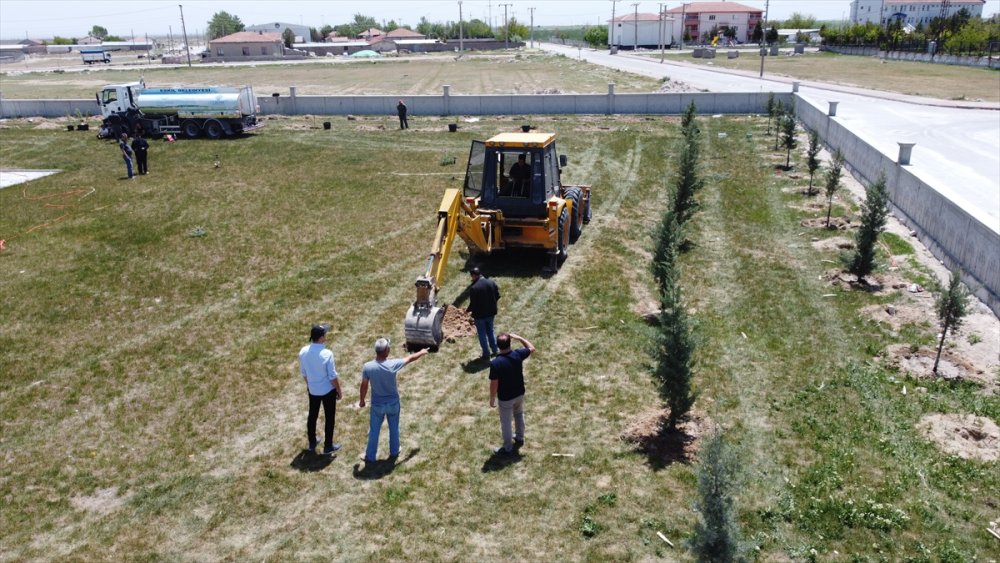 Eskil Adalet Sarayı Bahçesine Ağaç Dikildi
