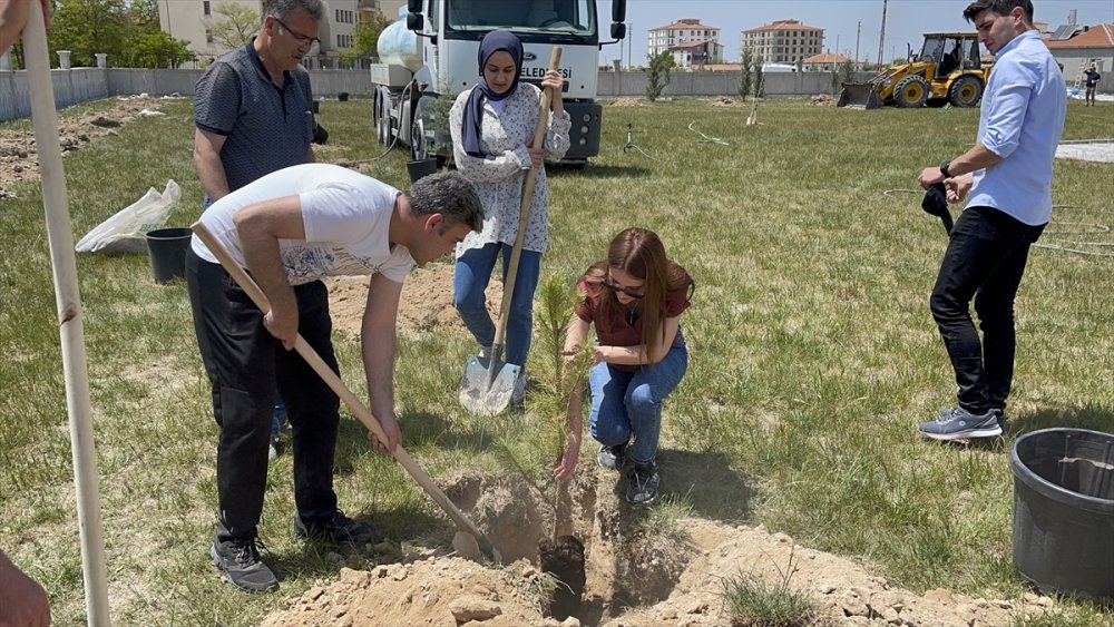 Eskil Adalet Sarayı Bahçesine Ağaç Dikildi