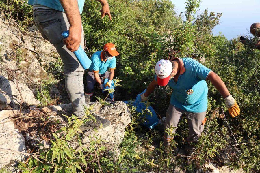 Antalya’da İki Sokak Köpeği Ölü Bulundu