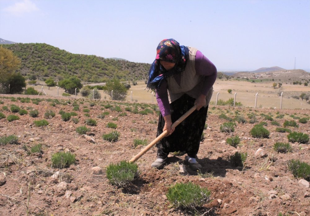 Aksaraylı Girişimci Kadın Örnek Oldu