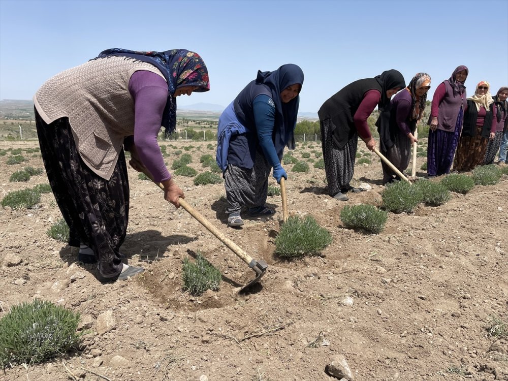 Aksaraylı Girişimci Kadın Örnek Oldu
