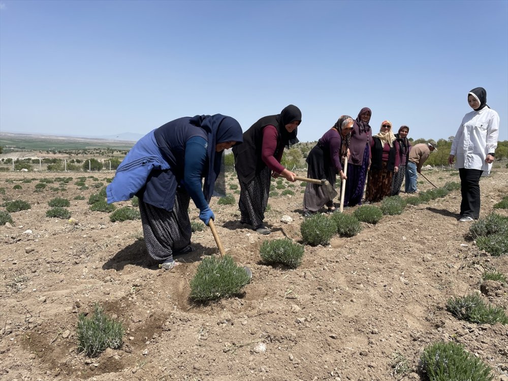 Aksaraylı Girişimci Kadın Örnek Oldu