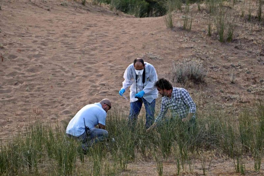 Antalya’da Ormanlık Alanda Erkek Cesedi Bulundu