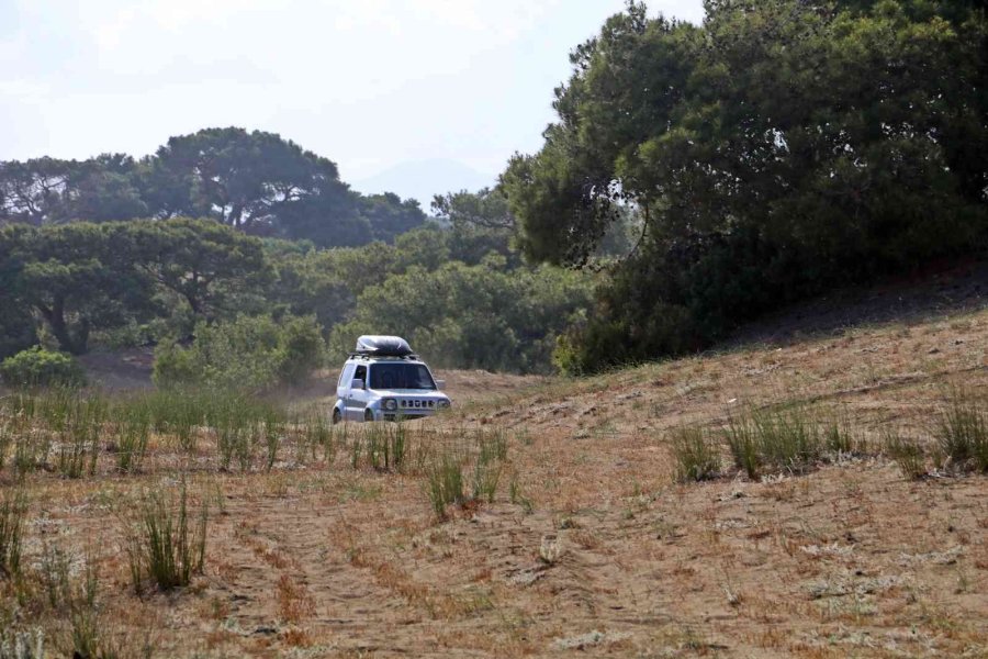 Antalya’da Ormanlık Alanda Erkek Cesedi Bulundu