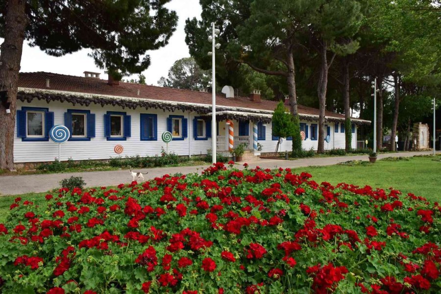 Baharın Renkleri Dokumapark’ta