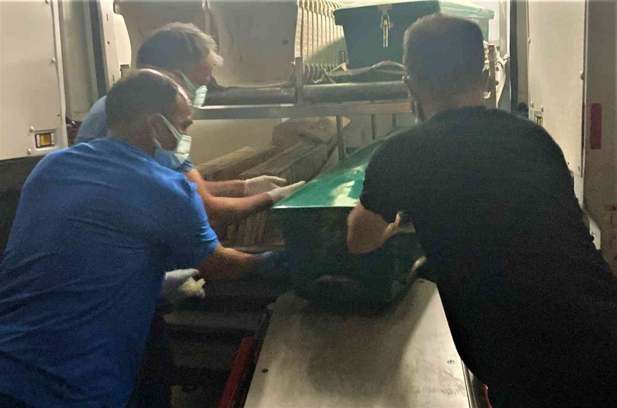 Bayramda Kayıp Olmuştu, 12 Gün Sonra Çoban Cansız Bedenini Buldu