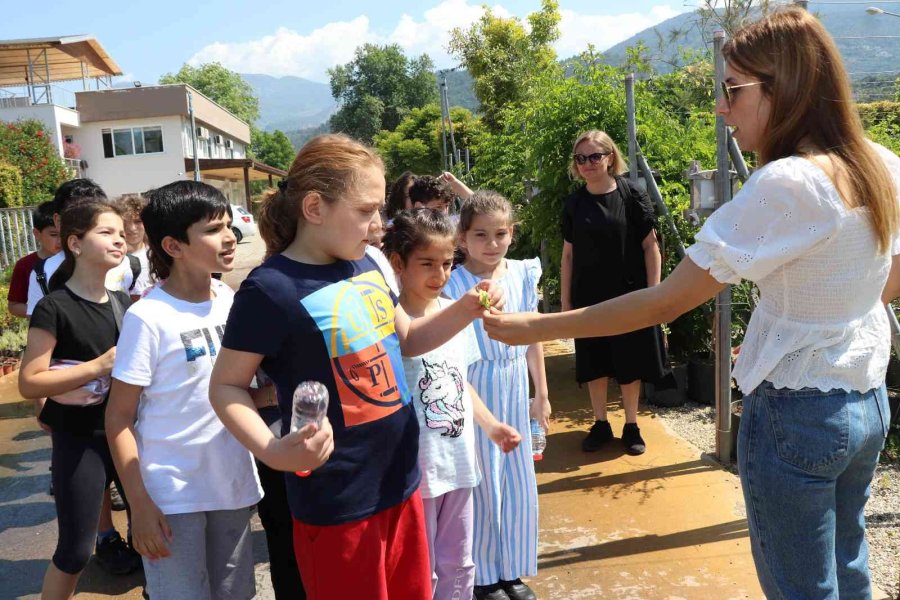 Alanya’da Su Kabakları Miniklerin Elinden Renklendi