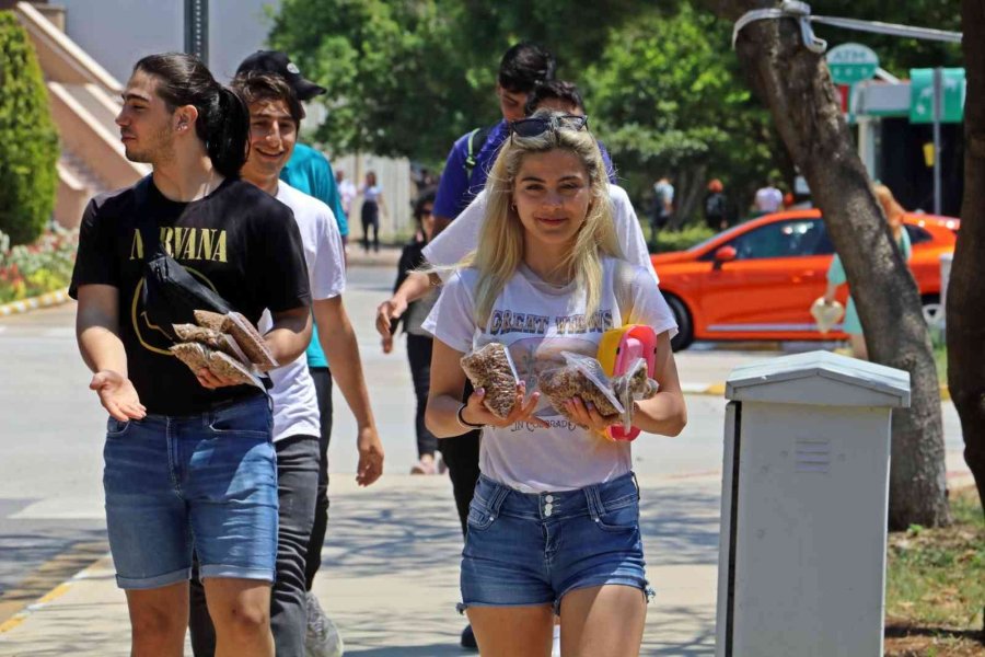 Üniversiteli Öğrenciler, Yerleşkedeki Sokak Hayvanlarını Unutmadı