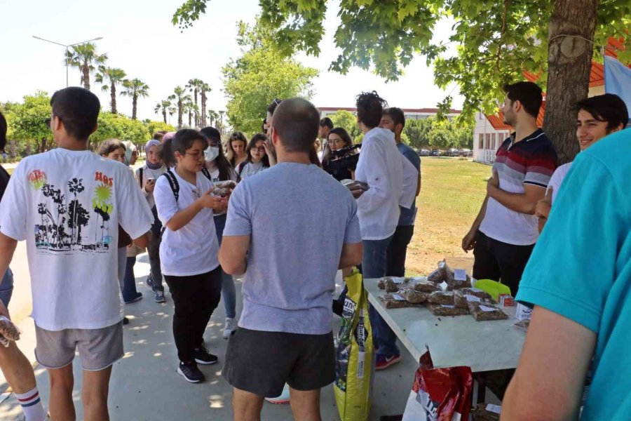 Üniversiteli Öğrenciler, Yerleşkedeki Sokak Hayvanlarını Unutmadı